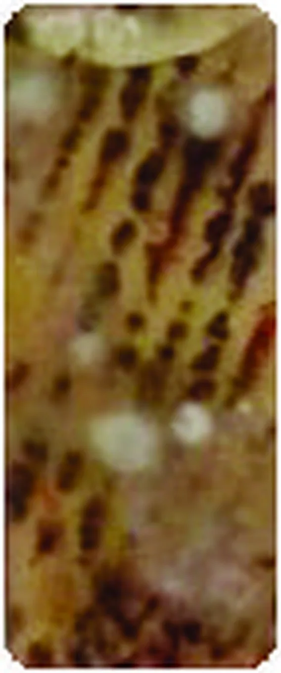 Mould reading after treatment